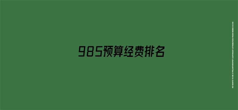 985预算经费排名